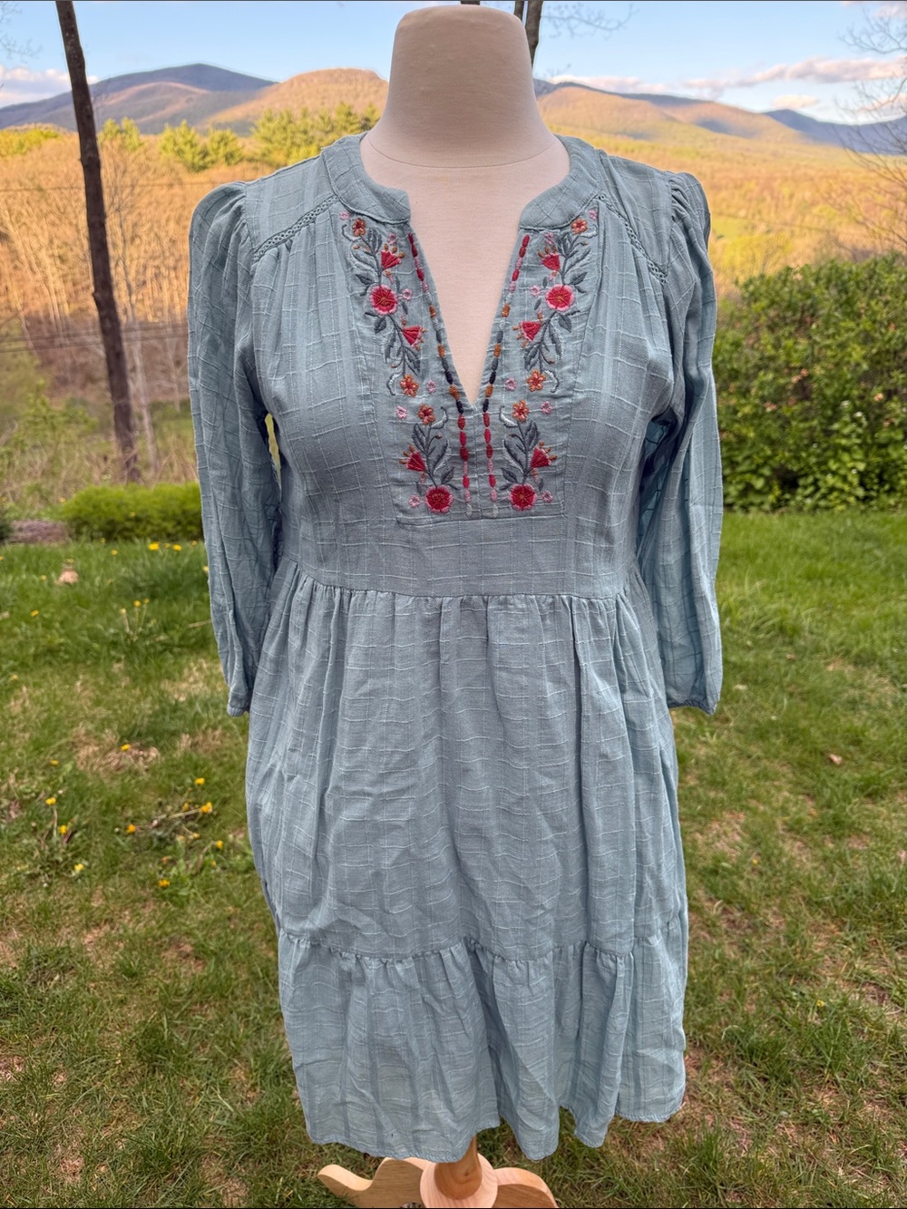 Knox Rose Light Blue Mini Dress with Red Floral Embroidery